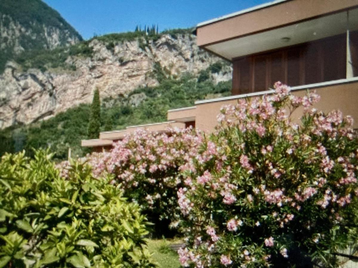 Appartamento Peppino Mit Seeblick Und Pool Riva del Garda Exteriör bild